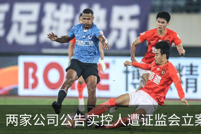 两家公司公告实控人遭证监会立案调查